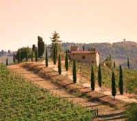 Afternoon Tour to Chianti region